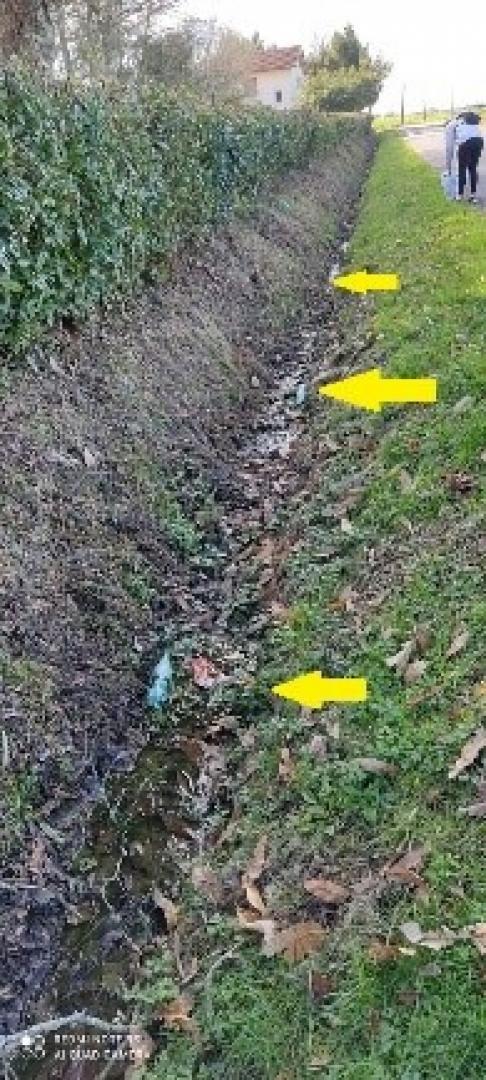 Déchets 2.jpg