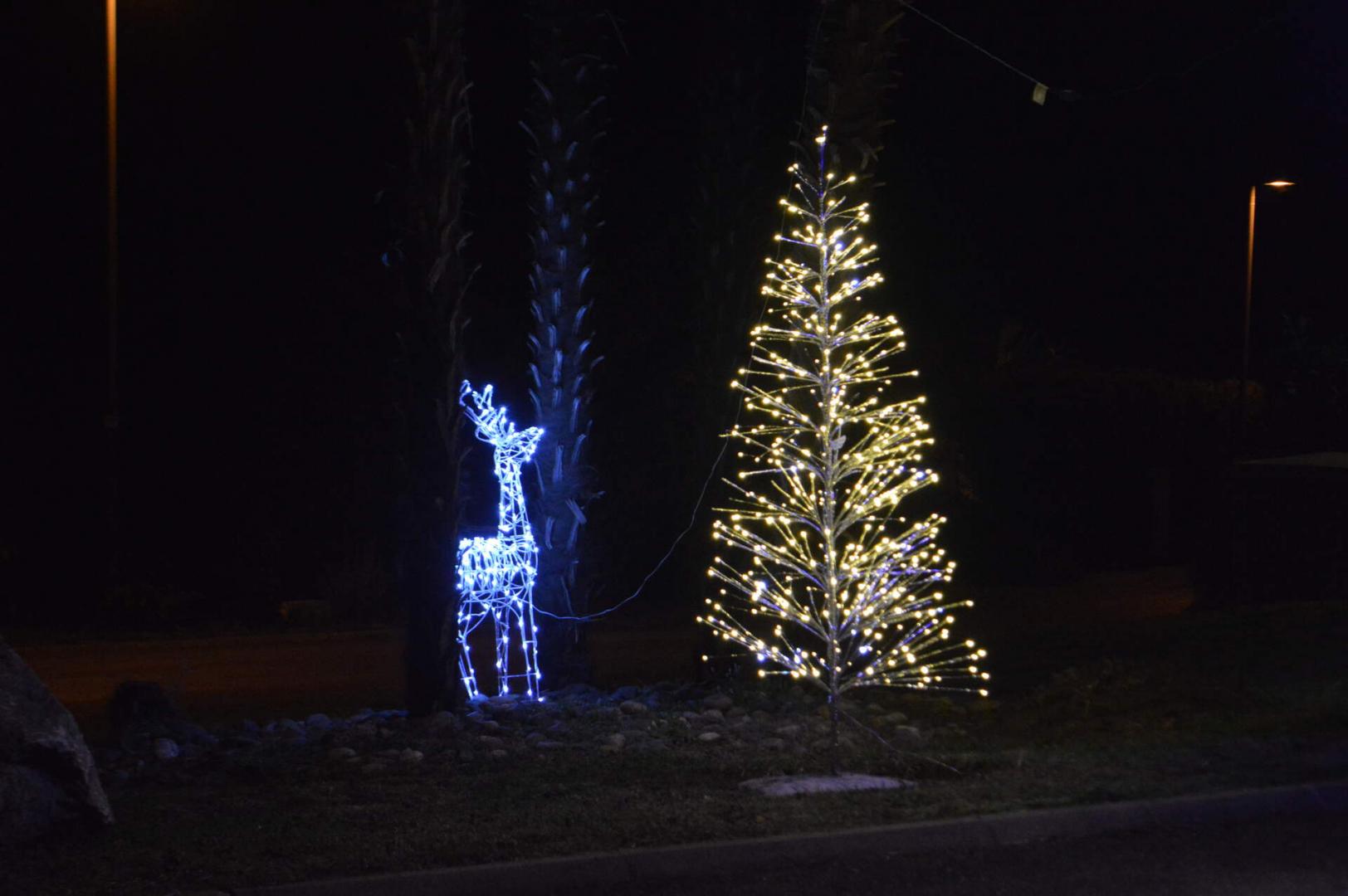 DSC_0287.jpg