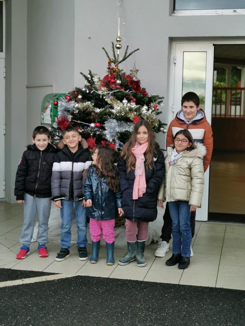 IMG_20241214_154730.jpg